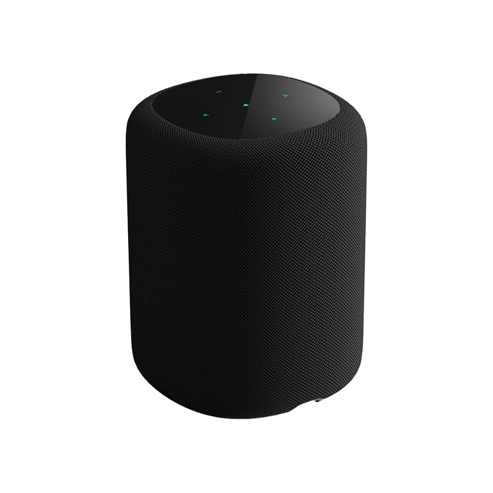 WiiM Sound Smart-Lautsprecher mit Display, schwarz