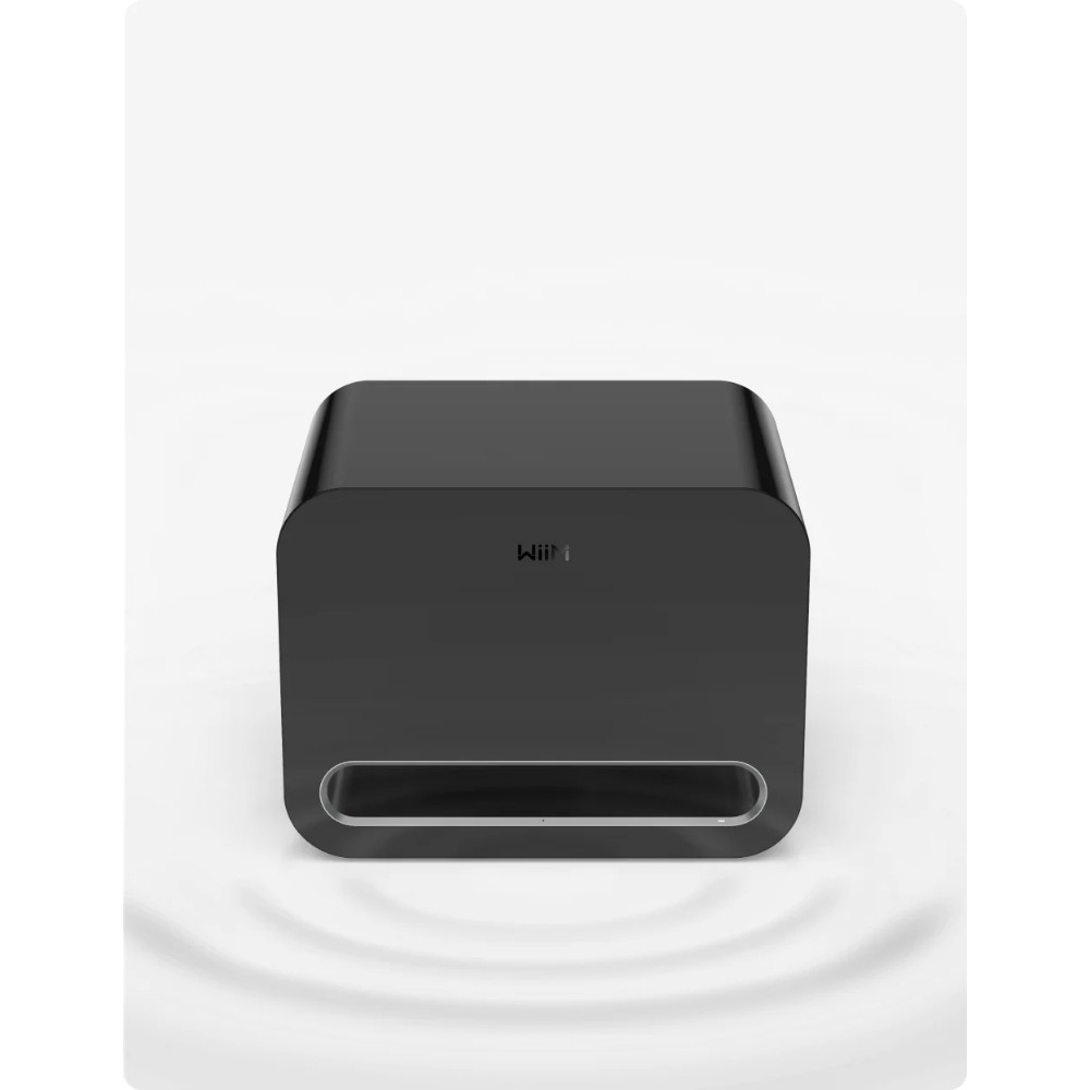 WiiM Sub Pro kompakter kabelloser Subwoofer, schwarz