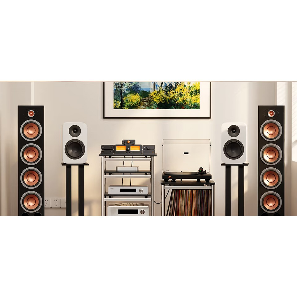 Fosi Audio P4 Vorverstärker mit Klangreglern