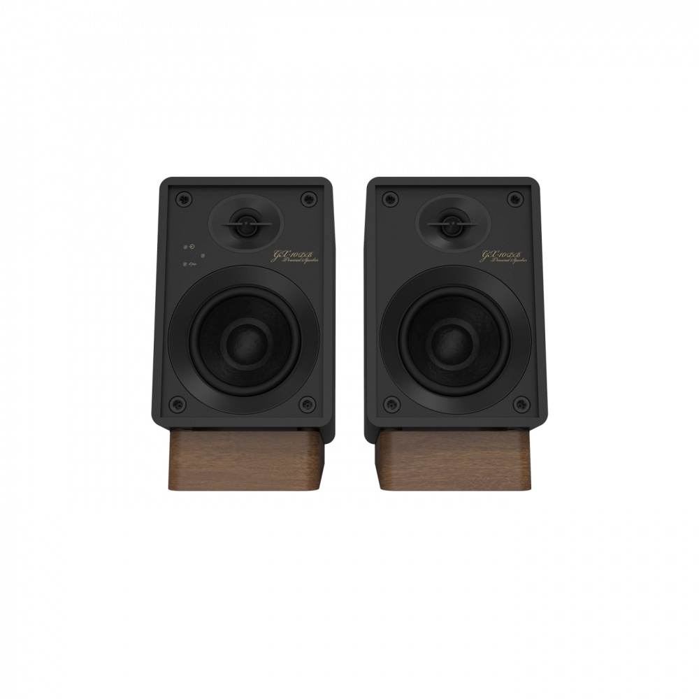 Onkyo GX-10DB aktive Regallautsprecher, schwarz