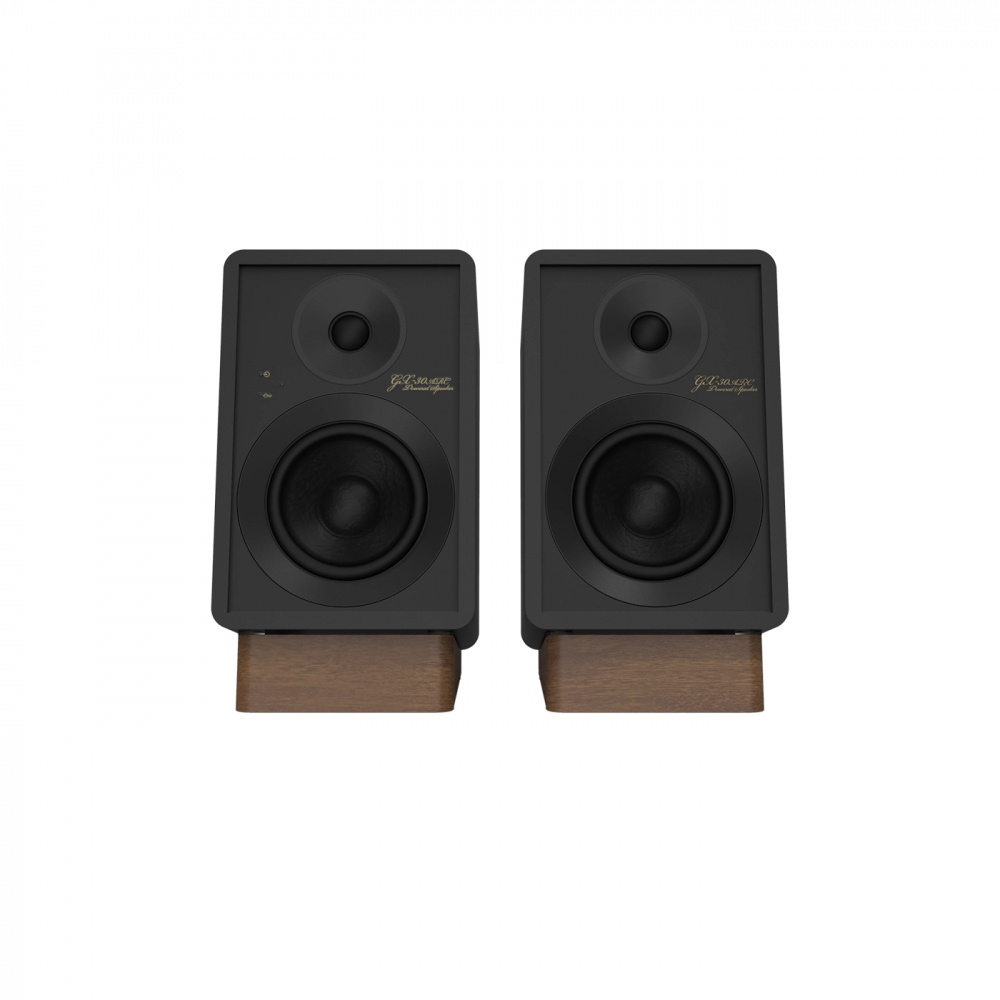 Onkyo GX-30ARC aktive Regallautsprecher, schwarz