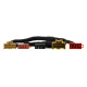 Phoenix Gold ZDAP-OPEL2, DSP-Endstufe für Opel 2013- Phoenix Gold ZDAP-OPEL2, DSP-Endstufe für Opel 2013-