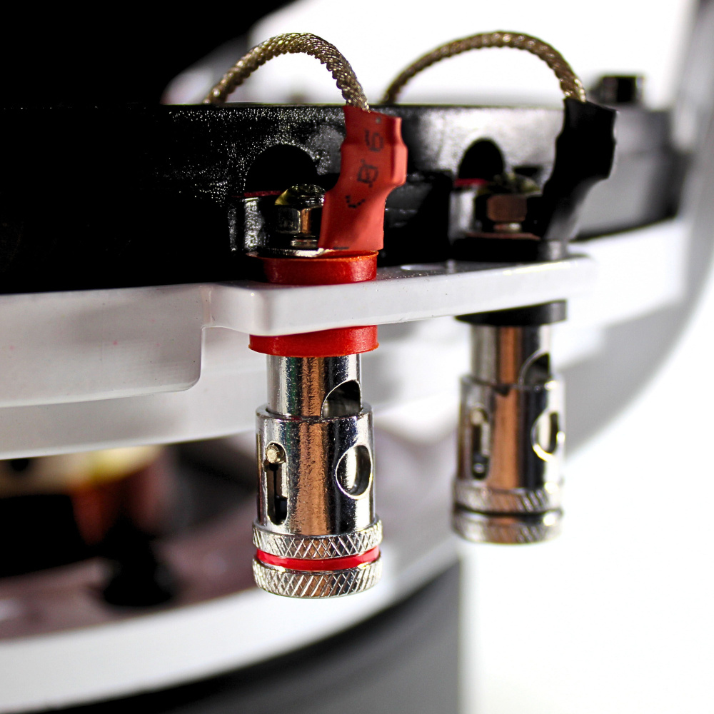 B2 AUDIO RIOT D2 V2, 12-Zoll 2x2 Ohm
