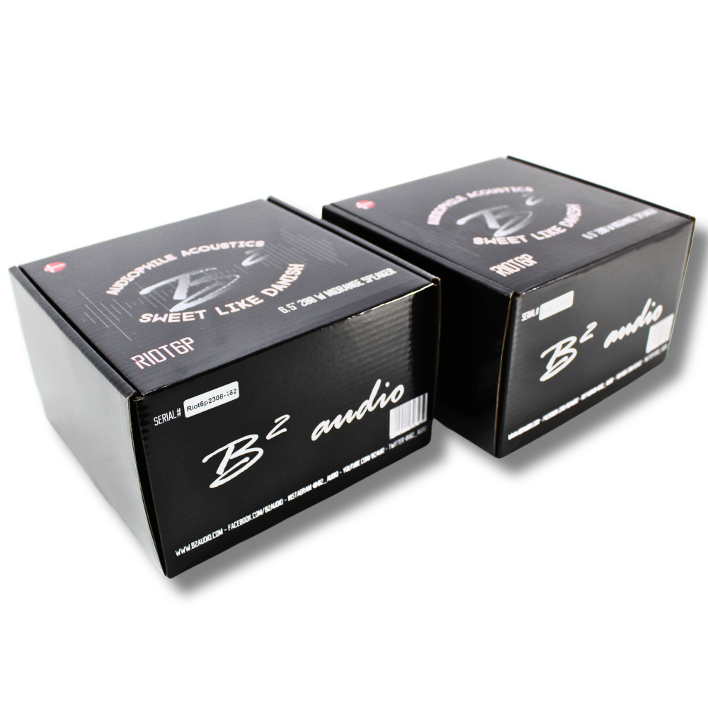 B² Audio RIOT 6P, 6,5-Zoll-Midbass