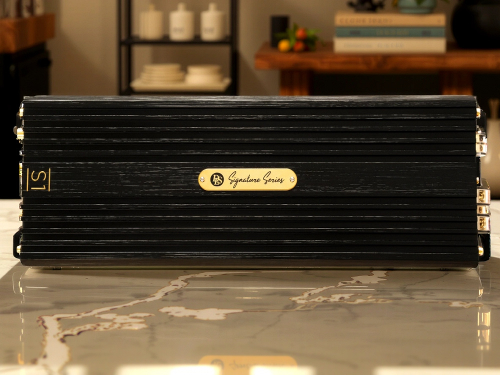 DLS Signature S1, klangstarkes Monoblock