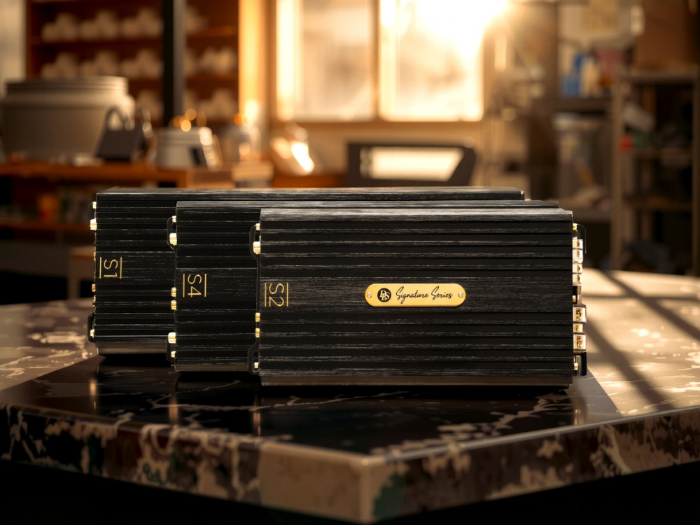 DLS Signature S1, klangstarkes Monoblock