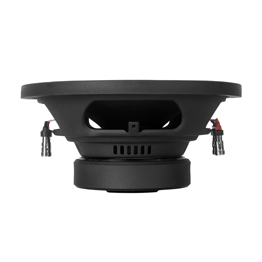 DLS Performance PE10.D2, 10-Zoll-Subwoofer