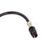 Dachantenne AM/FM OEM Fiat Panda, 60° Neigung Dachantenne AM/FM OEM Fiat Panda, 60° Neigung