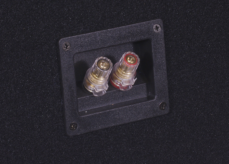 Auto-Connect 2x12 verstärkte leere Bassbox