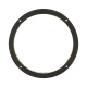 DS18 LRING8, 8-Zoll-RGB-LED-Ring für Lautsprecher/Bässe DS18 LRING8, 8-Zoll-RGB-LED-Ring für Lautsprecher/Bässe