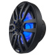 DS18 NXL-8/BK, schwarze 8-Zoll-Marine-Lautsprecher mit LED, Paar DS18 NXL-8/BK, schwarze 8-Zoll-Marine-Lautsprecher mit LED, Paar