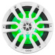 DS18 NXL-8, weiße 8-Zoll-Marine-Lautsprecher mit LED, Paar DS18 NXL-8, weiße 8-Zoll-Marine-Lautsprecher mit LED, Paar