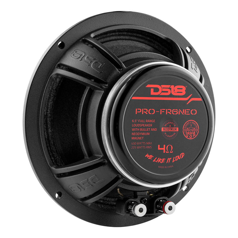 DS18 PRO-FR6NEO, 6,5