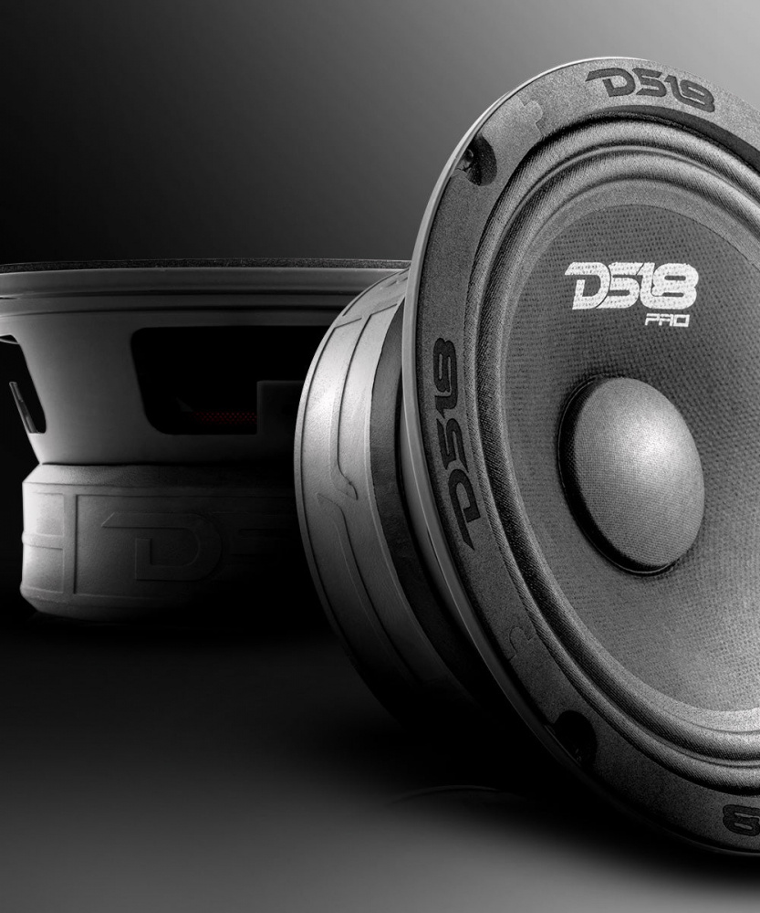 DS18 PRO-GM6.4, 6,5-Zoll-Midbass, Stück