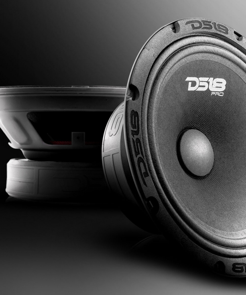DS18 PRO-GM8.4, 8-Zoll-Midbass, Stück