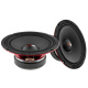 DS18 PRO-X8.4M, 8-Zoll-Midbass, Stück DS18 PRO-X8.4M, 8-Zoll-Midbass, Stück