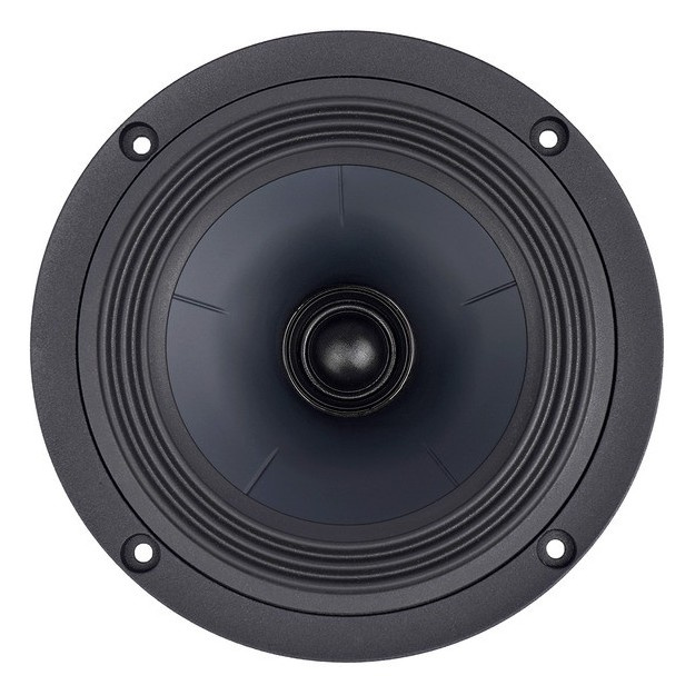 SB Acoustics SB15BAC30-8-COAX, 5-Zoll-Koaxiallautsprecher