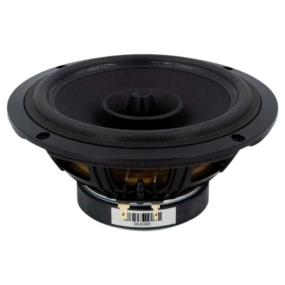 SB Acoustics SB16FRPC25-7, 6 Zoll Fullrange-Lautsprecher