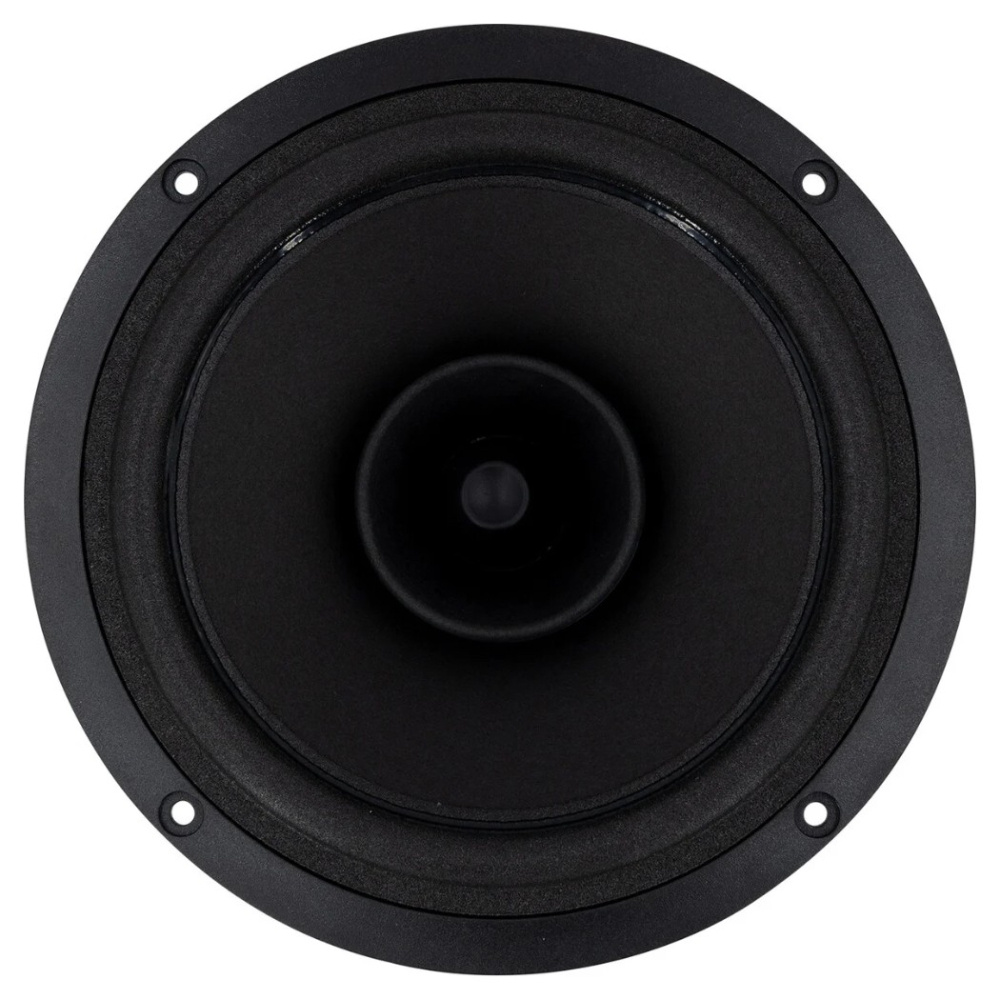 SB Acoustics SB16FRPC25-7, 6 Zoll Fullrange-Lautsprecher