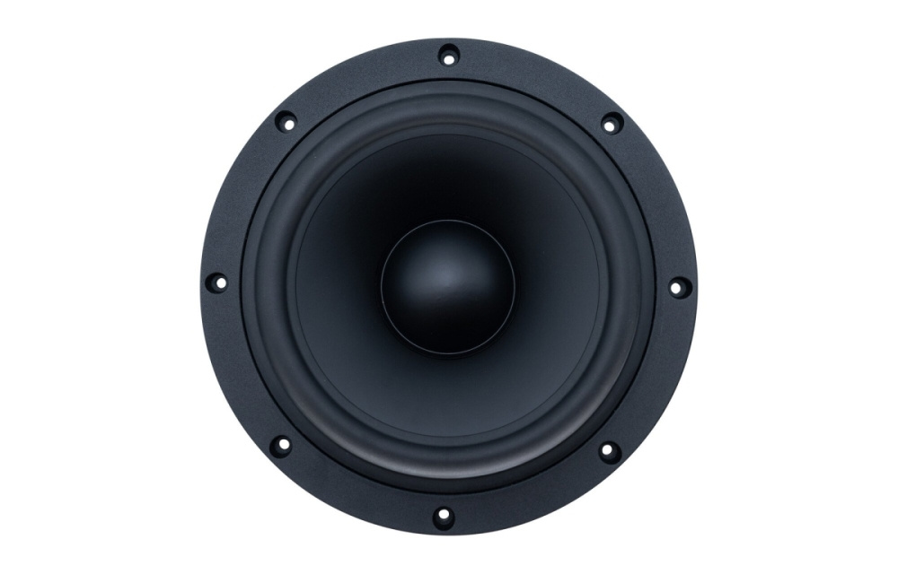 SB Acoustics SB29NRX-00, 10 Zoll Passivmembran
