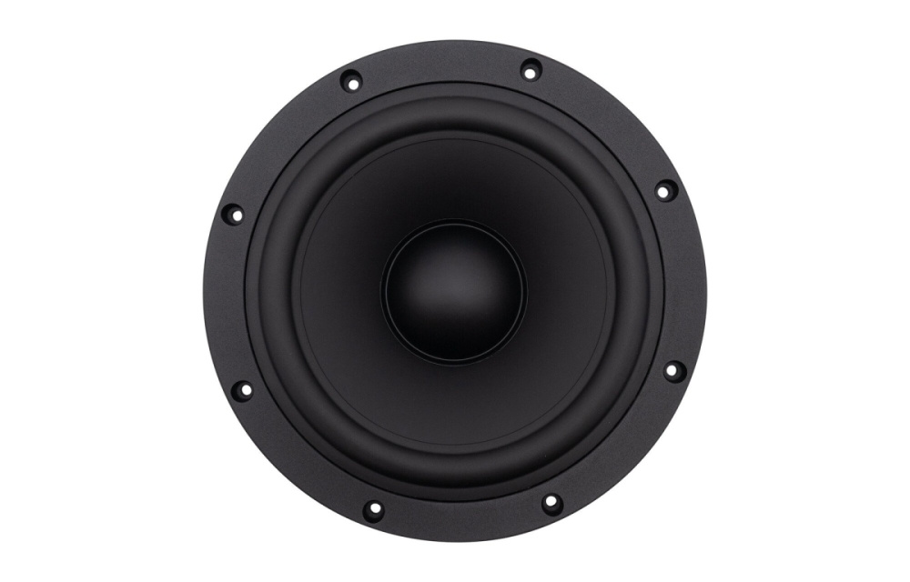 SB Acoustics SB29NRX2-00, 10 Zoll Passivmembran