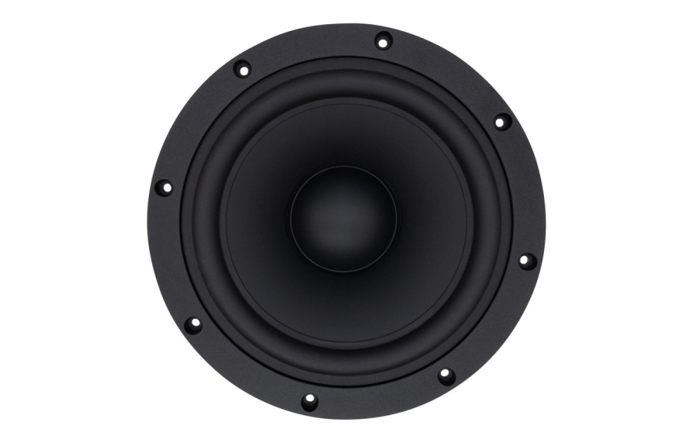 SB Acoustics SB29NRX75-6, 10 Zoll Tieftöner