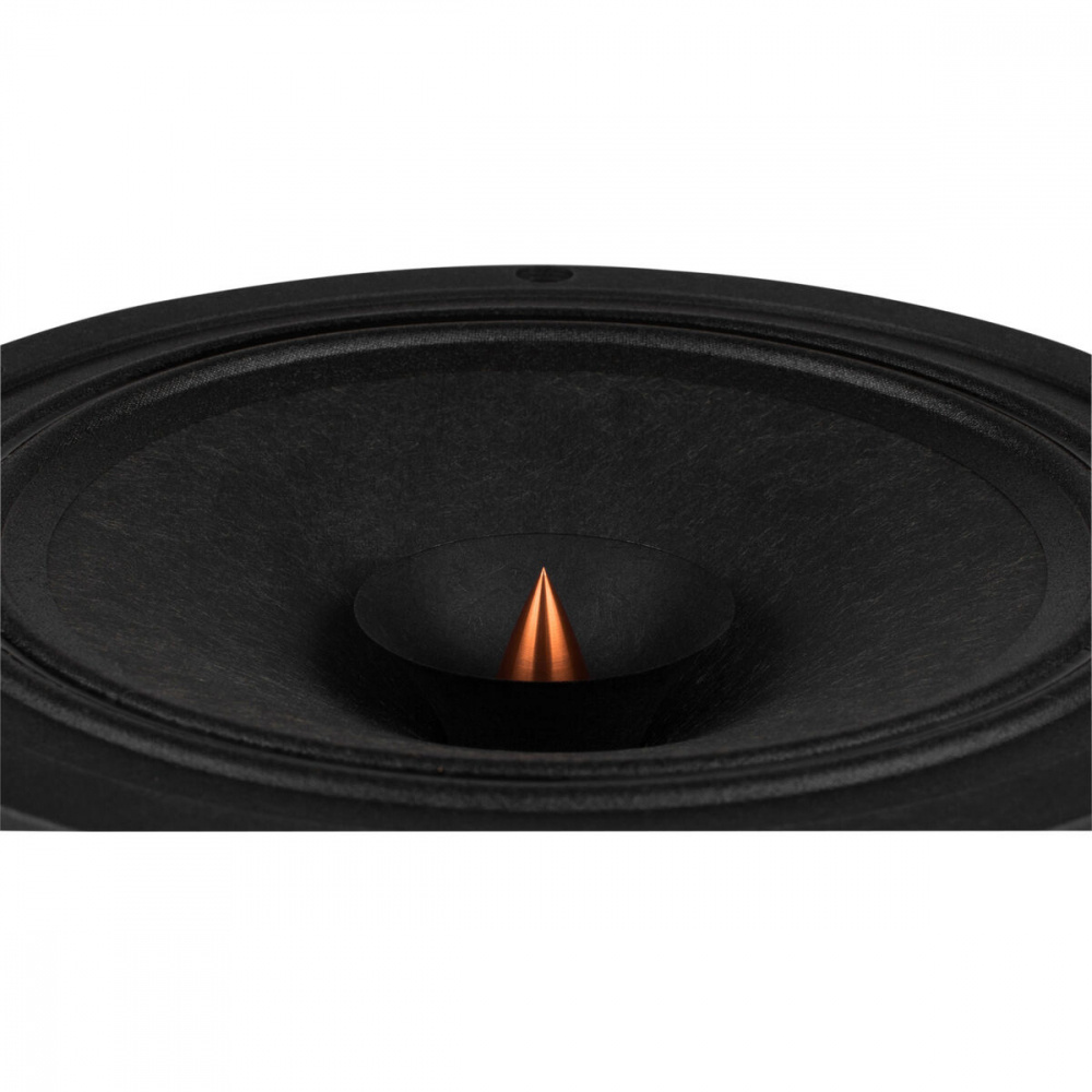 Dayton Audio PS220-8, 8-Zoll Point-Source-Vollbereichslautsprecher