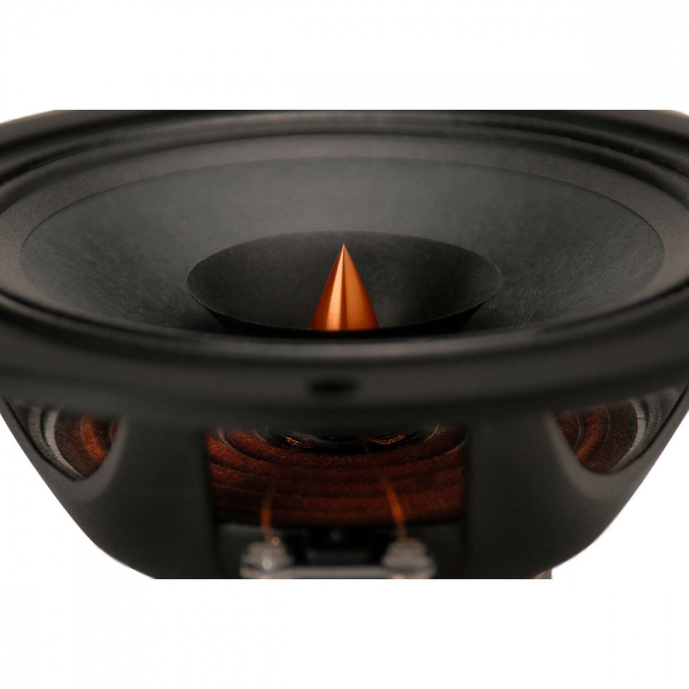 Dayton Audio PS220-8, 8-Zoll Point-Source-Vollbereichslautsprecher
