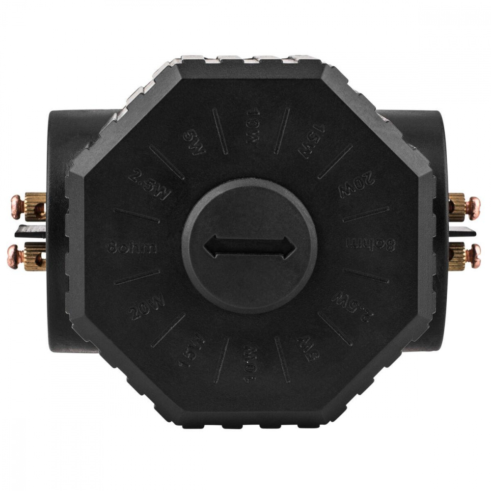 Dayton Audio WPT70V, Transformator von 8 Ohm auf 70/100V