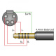 iFI Audio Pentaconn 4.4-XLR SE, 4.4-mm-XLR-Kabel 1 Meter iFI Audio Pentaconn 4.4-XLR SE, 4.4-mm-XLR-Kabel 1 Meter