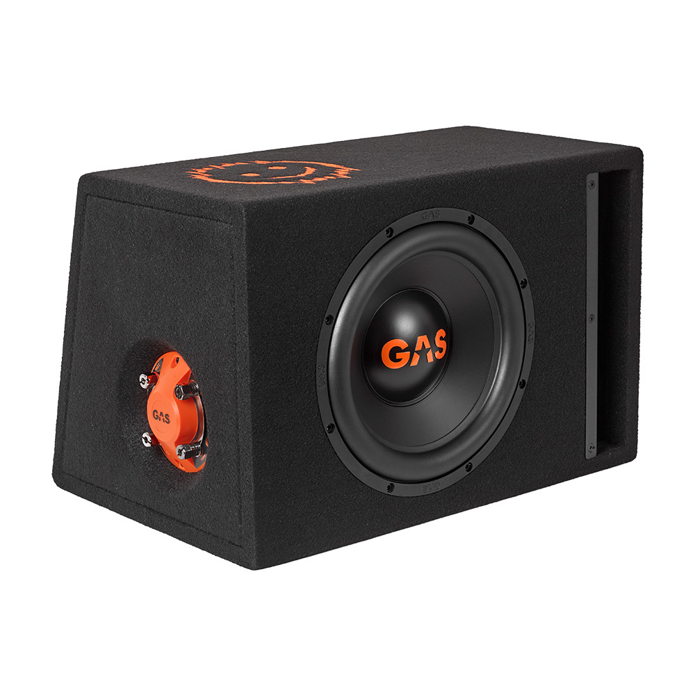 GAS MAD B2-110V, 1x10-Zoll-Bassbox