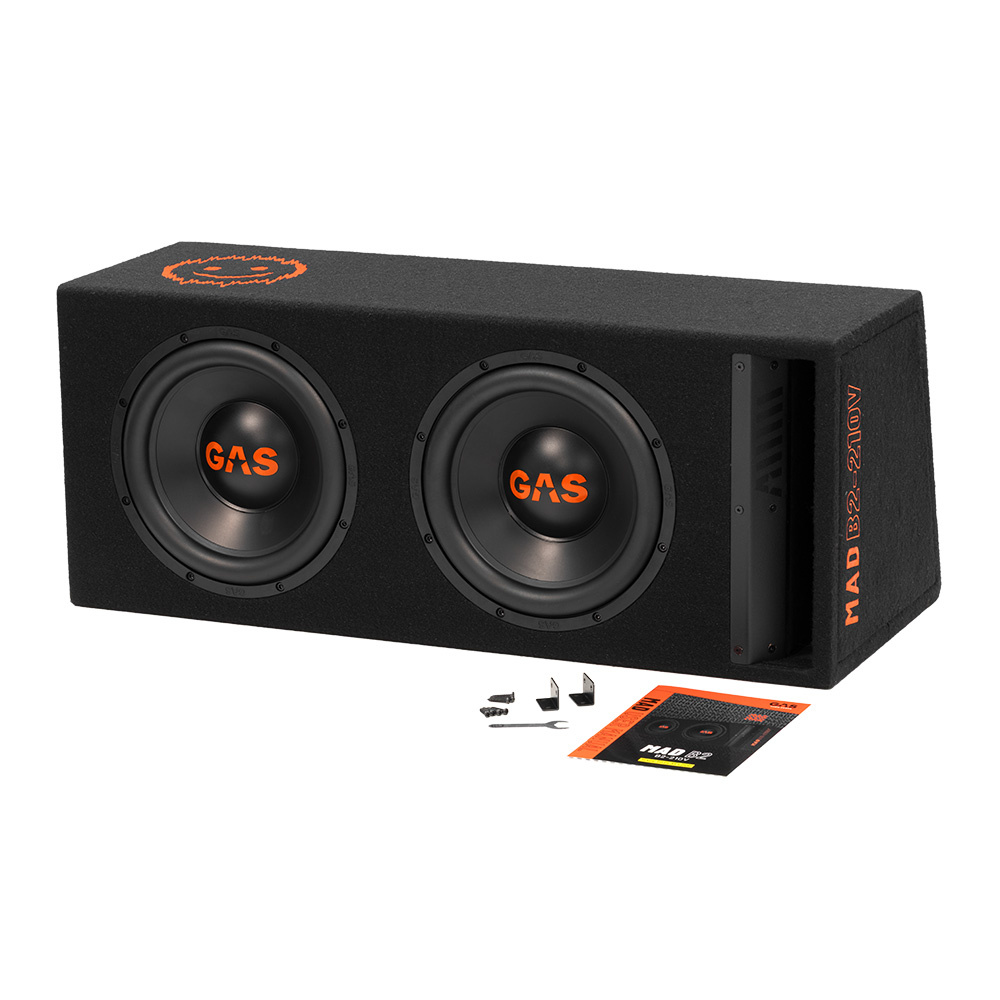 GAS MAD B2-210V, 2x10-Zoll-Bassbox