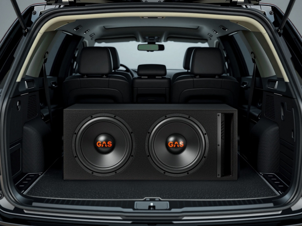 GAS MAD B2-212V, 2x12-Zoll-Bassbox