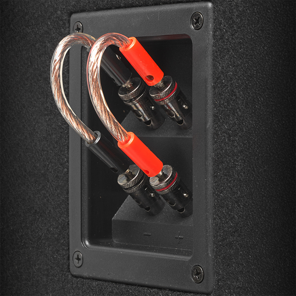 GAS MAX B1-18E, richtig schwere 1x8-Zoll-Bassbox