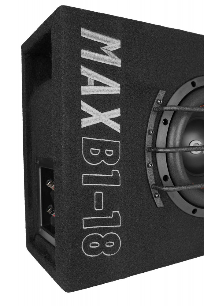 GAS MAX B1-18, großartige 1x8-Zoll-Bassbox