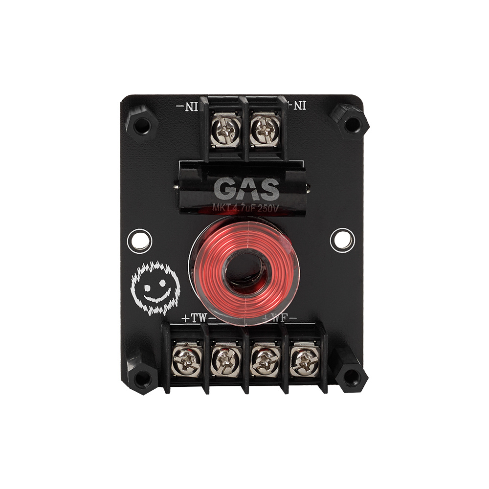 GAS MAX X2-64, klangstarke 6,5-Zoll-Koaxiallautsprecher
