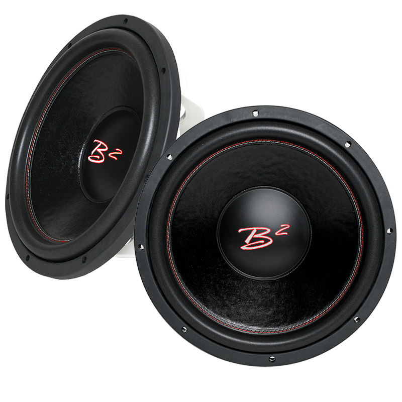 2er-Pack B2 AUDIO RIOT D2 12 Zoll