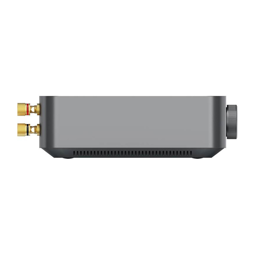 WiiM Amp Pro mit SC4B & 2 Paar DLS IC 824