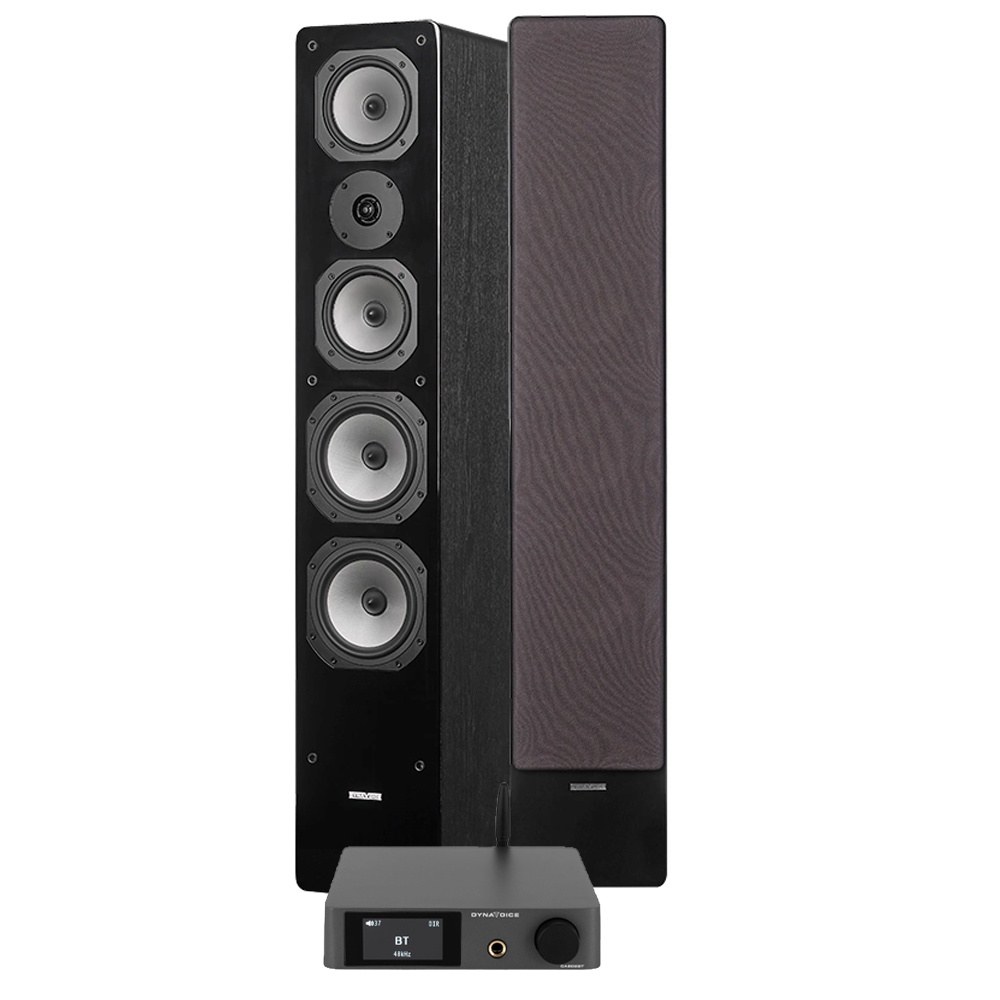 Dynavoice CA802BT & Challenger M-65, Stereo-Paket