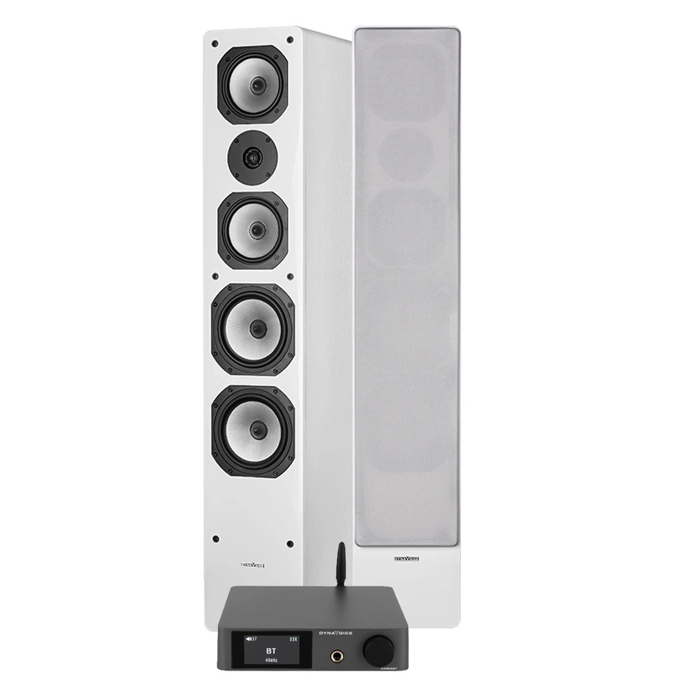 Dynavoice CA802BT & Challenger M-65, Stereo-Paket