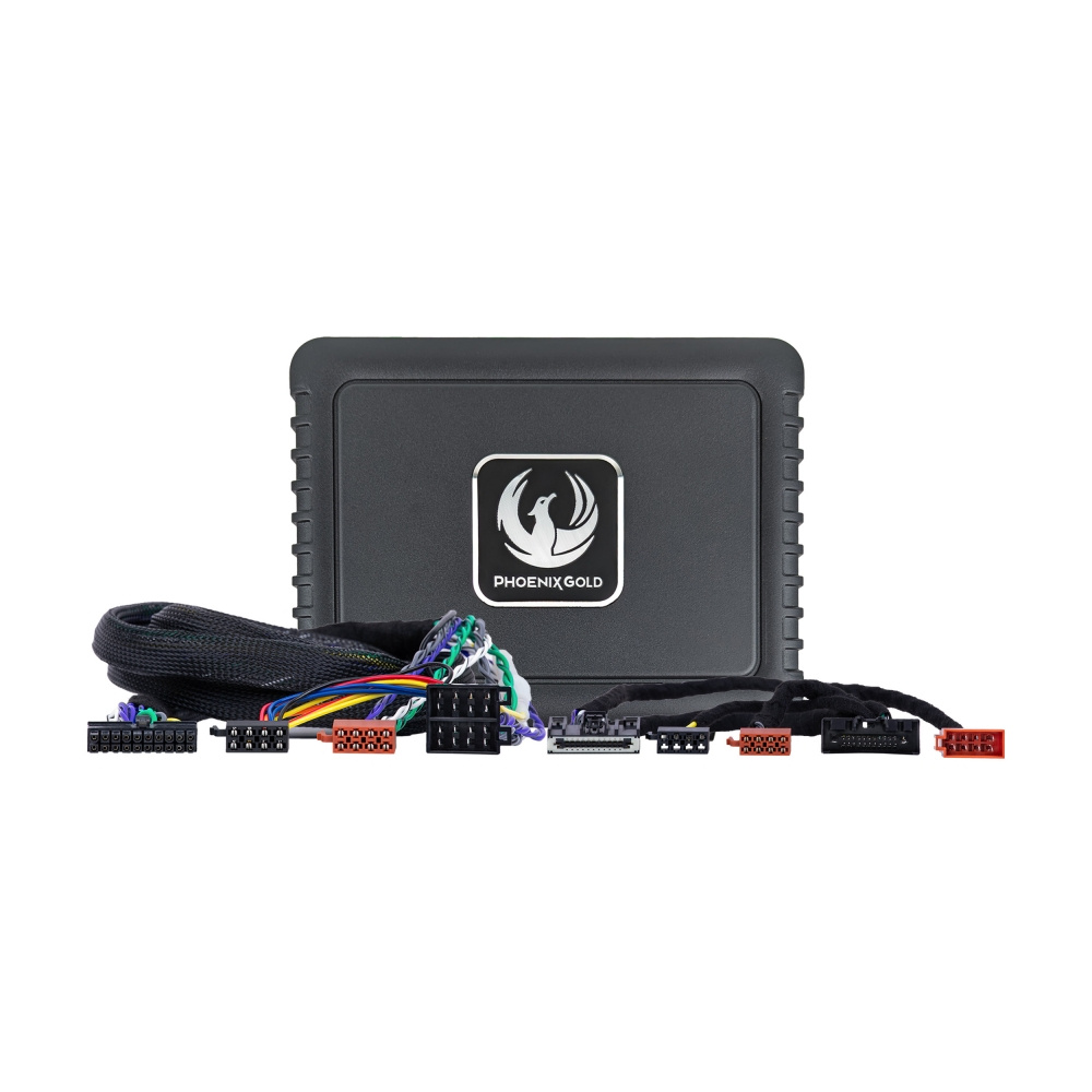 DLS/Phoenix Gold Sound-Upgrade für Ford 2010-2023, DSP-Verstärker mit Lautsprechern