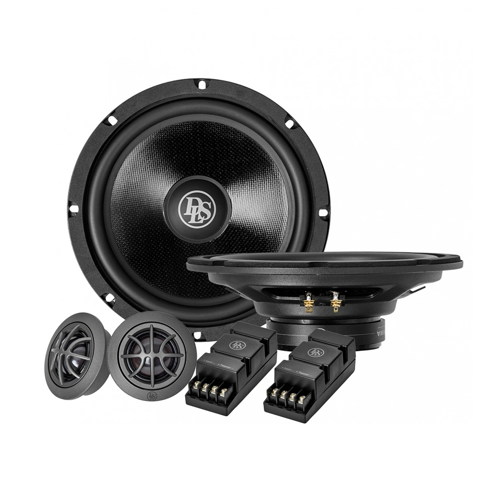 DLS CRPP-UW83 mit RCS25, klangstarkes 8-Zoll-Kit-System
