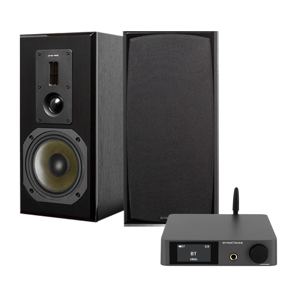 Dynavoice CA802BT & Definition DM-6II in Schwarz, Stereopaket