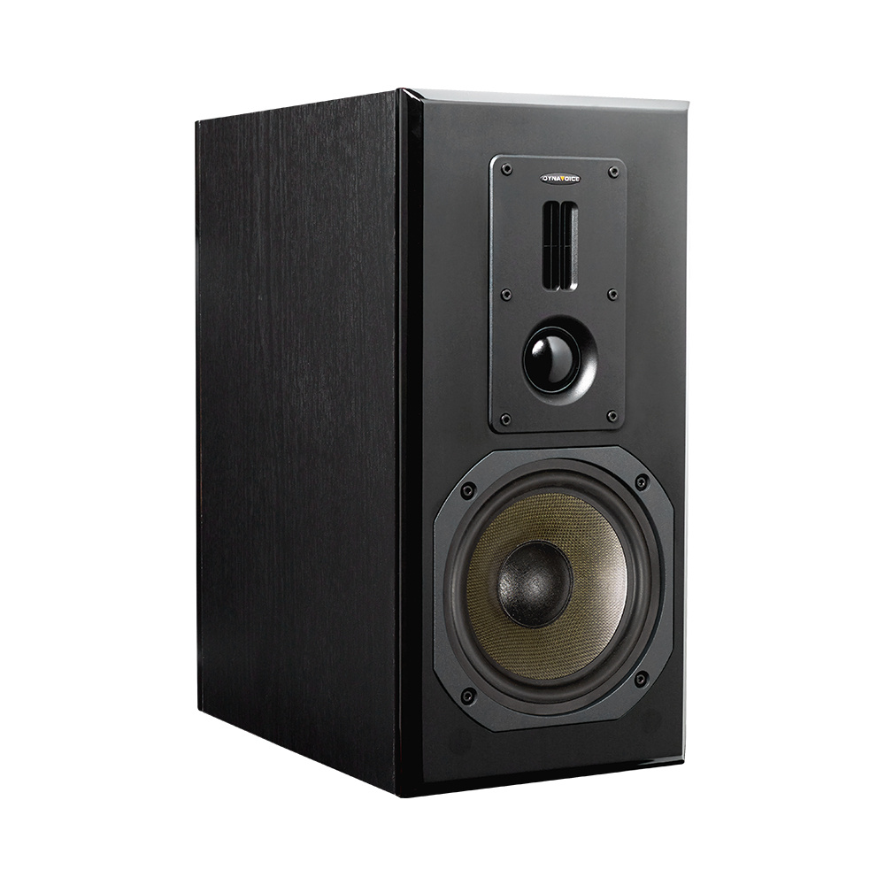 Dynavoice CA802BT & Definition DM-6II in Schwarz, Stereopaket