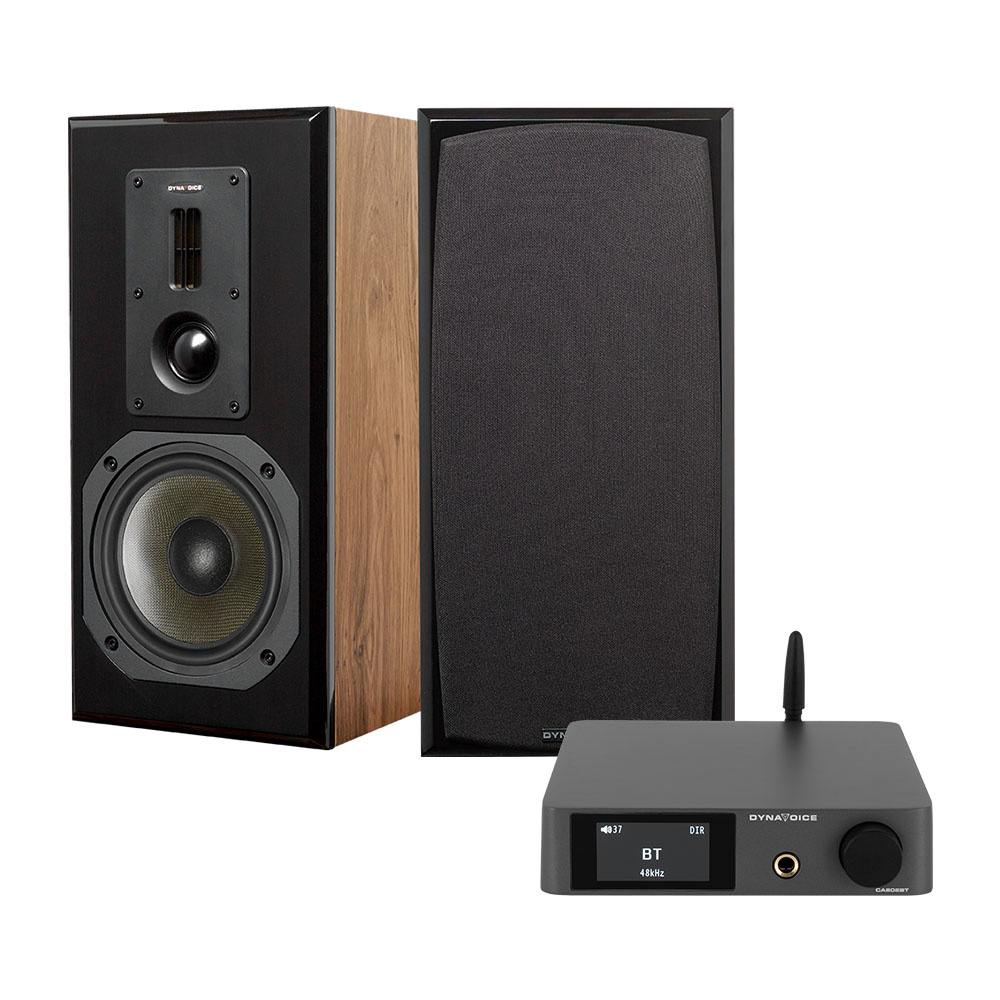 Dynavoice CA802BT & Definition DM-6II in Eiche, Stereopaket