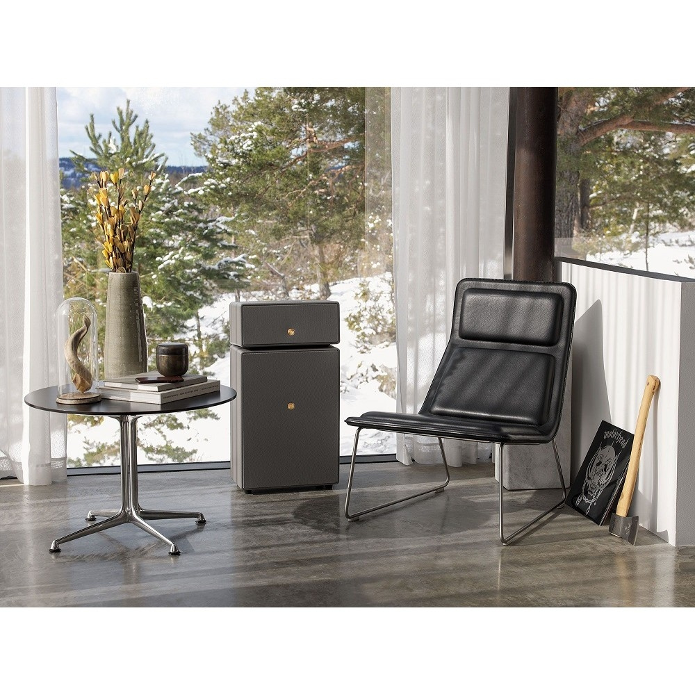 2er-Pack Audio Pro Drumfire II W Wi-Fi-Lautsprecher mit Google Cast & AirPlay 2, grau