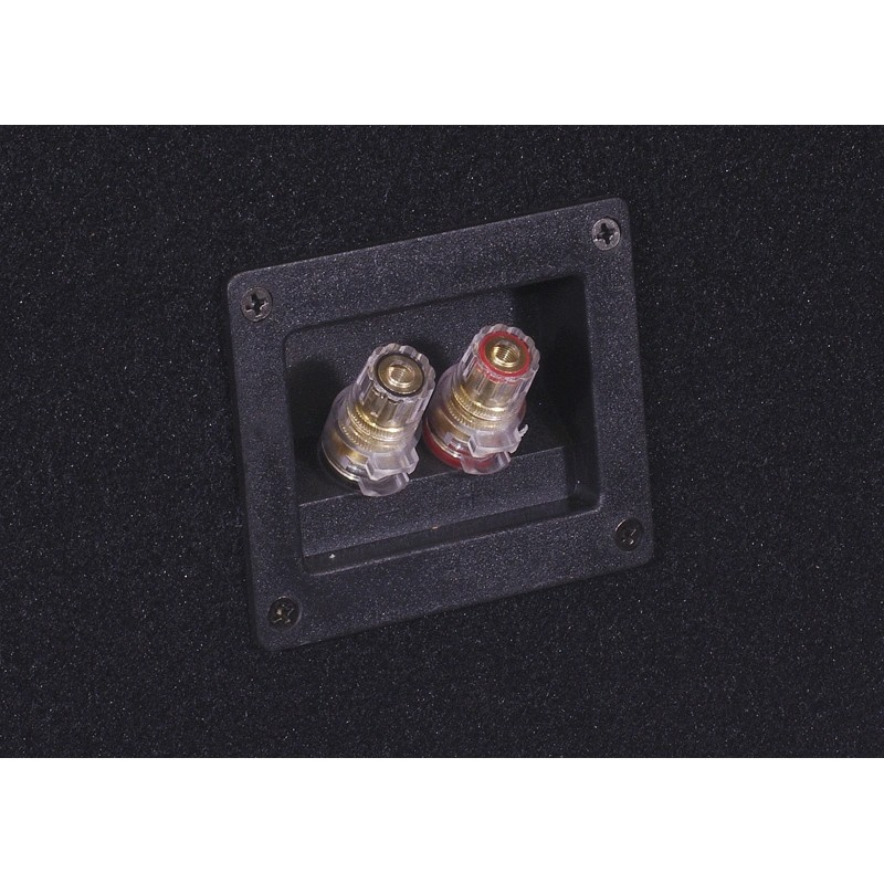 Bass Habit E300D2 im Bassreflexgehäuse mit SP31001FR, 2x12-Basspaket