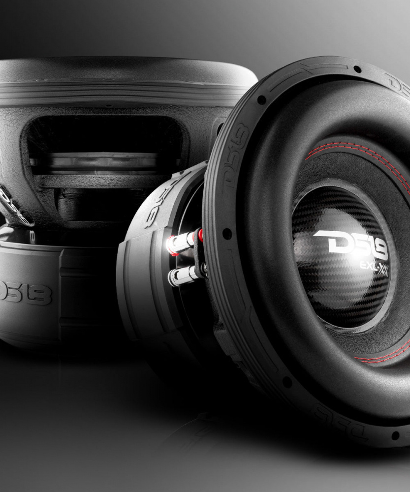 2er-Pack DS18 EXL-XX12.4DHE, brutaler 12-Zoll-Bass
