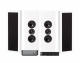 WiiM Amp, SC4B & 2 Paare mattweißer DLS Flatbox XL WiiM Amp, SC4B & 2 Paare mattweißer DLS Flatbox XL