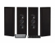 WiiM Amp, SC4B & 2 Paare mattschwarzer DLS Flatbox XL WiiM Amp, SC4B & 2 Paare mattschwarzer DLS Flatbox XL